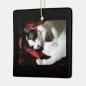 Snowshoe Tartan-Miezekatze Keramikornament (Links)