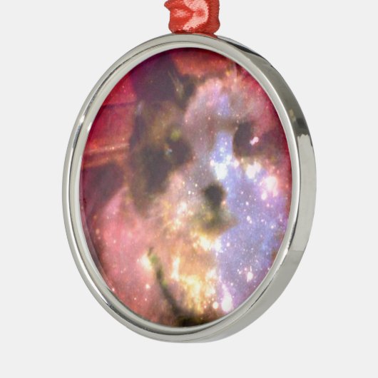 Snowshoeaurora borealis Miezekatze Silbernes Ornament (Links)