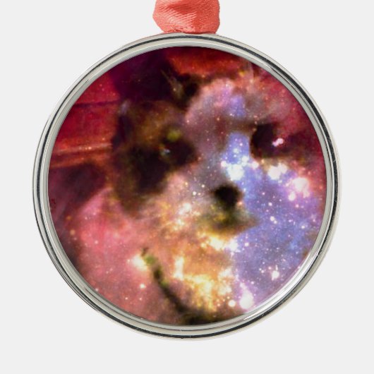 Snowshoeaurora borealis Miezekatze Silbernes Ornament (Vorne)