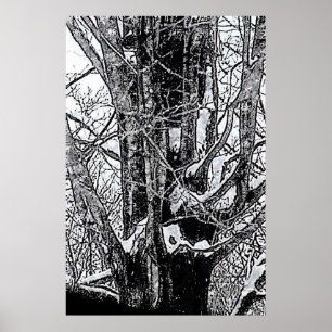 Snowy-Ahorn-Plakat die MUSEUM Zazzle Geschenke Poster