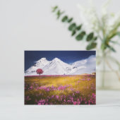 Snowy Alps Postcard Postkarte (Stehend Vorderseite)