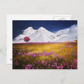 Snowy Alps Postcard Postkarte (Vorne/Hinten)