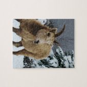 Snowy Animal 8x10 Foto Puzzle (Horizontal)