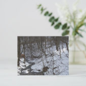 Snowy Bach Postkarte (Stehend Vorderseite)