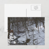 Snowy Bach Postkarte (Vorne/Hinten)