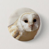Snowy Barn Owl Button (Vorderseite)