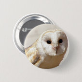 Snowy Barn Owl Button (Vorne & Hinten)