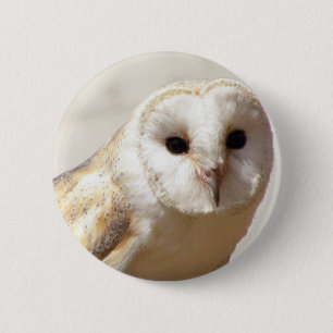 Snowy Barn Owl Button
