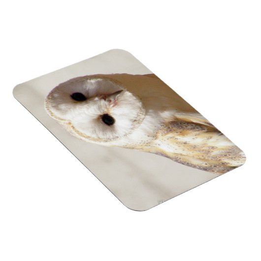Snowy Barn Owl Flexible Magnet (Rechte Seite)