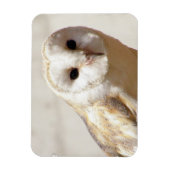Snowy Barn Owl Flexible Magnet (Vertikal)