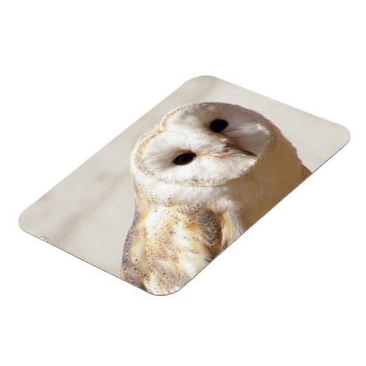 Snowy Barn Owl Flexible Magnet (Linke Seite)