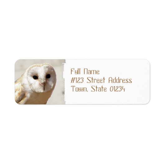 Snowy Barn Owl Mailing Labels (Vorne)