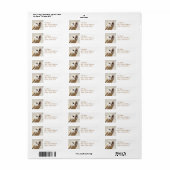Snowy Barn Owl Mailing Labels (Vorne)