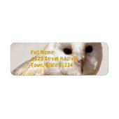 Snowy Barn Owl Mailing Labels (Vorne)