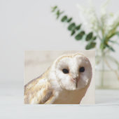 Snowy Barn Owl Postkarte (Stehend Vorderseite)