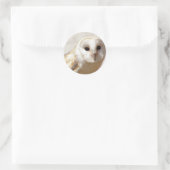 Snowy Barn Owl Stickers (Tasche)