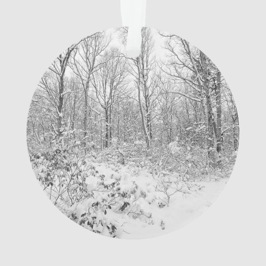 Snowy-Bäume im Poconos Ornament (Rückseite)