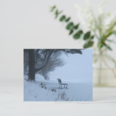 Snowy Bench Postkarte (Stehend Vorderseite)