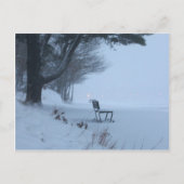 Snowy Bench Postkarte (Vorderseite)
