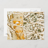 Snowy Birch Postkarte (Vorne/Hinten)