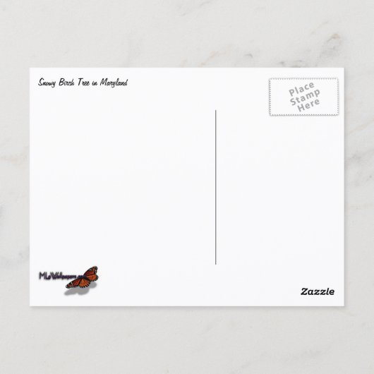 Snowy Birch Tree Canopy Postkarte (Rückseite)