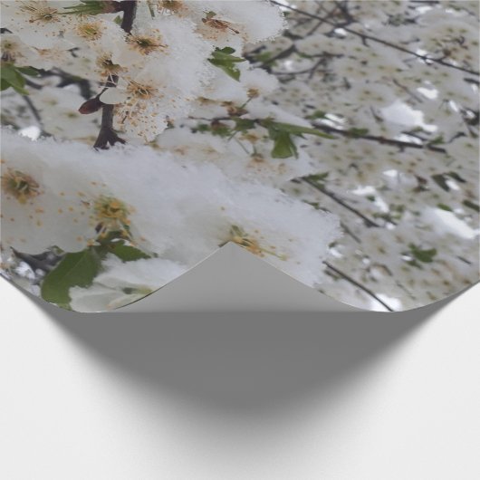 Snowy Blossom Wrapping Paper Geschenkpapier (Ecke)