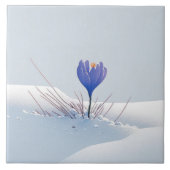 Snowy Blue Mountain Crocus Reborn Blume Keramik T Fliese (Vorderseite)