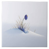 Snowy Blue Mountain Crocus Reborn Blume Keramik T Fliese (Vorderseite)