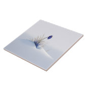 Snowy Blue Mountain Crocus Reborn Blume Keramik T Fliese (Seite)