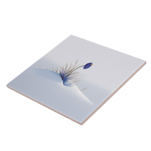 Snowy Blue Mountain Crocus Reborn Blume Keramik T Fliese (Seite)