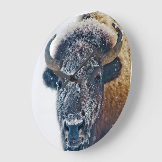 Snowy Buffalo Wall Clock Große Wanduhr (Winkel)