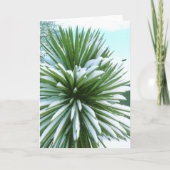 Snowy Cactus card Karte (Vorderseite)
