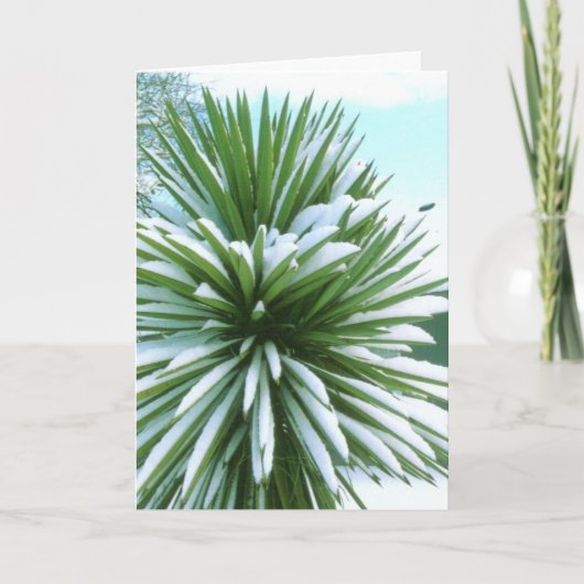 Snowy Cactus card Karte (Vorderseite)