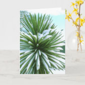 Snowy Cactus card Karte (Gelbe Blume)