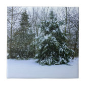 Snowy Cedars Fliese (Vorderseite)