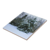 Snowy Cedars Fliese (Seite)