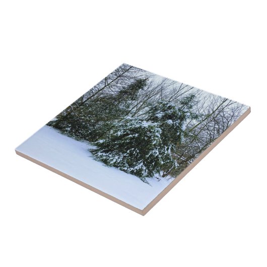 Snowy Cedars Fliese (Seite)