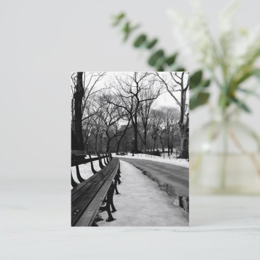 Snowy Central Park Postkarte (Stehend Vorderseite)