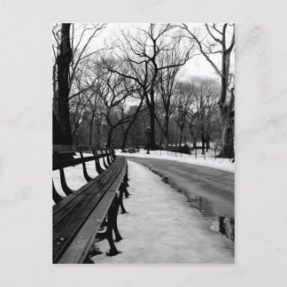 Snowy Central Park Postkarte