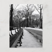 Snowy Central Park Postkarte (Vorderseite)