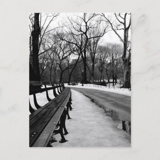 Snowy Central Park Postkarte (Vorderseite)