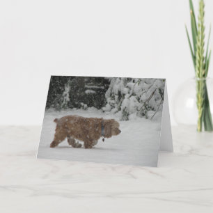 Snowy Cocker spaniel Feiertagskarte