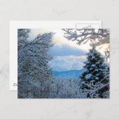 Snowy Colorado Postkarte (Vorne/Hinten)