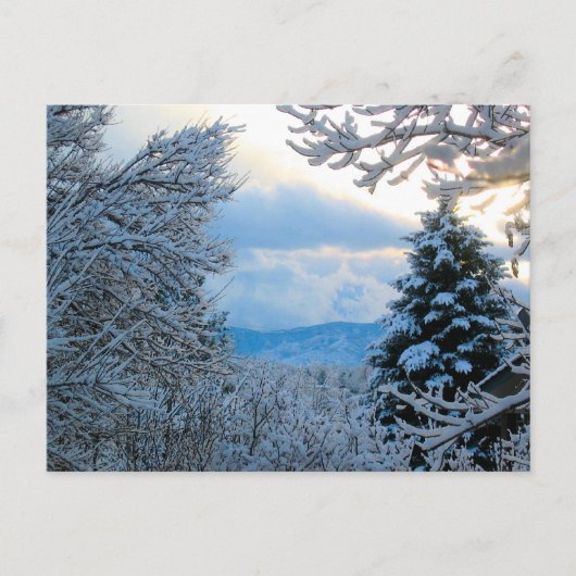 Snowy Colorado Postkarte (Vorderseite)