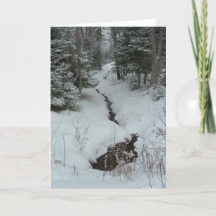 Snowy Creek Karte