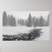 Snowy Creek Poster (Vorne)