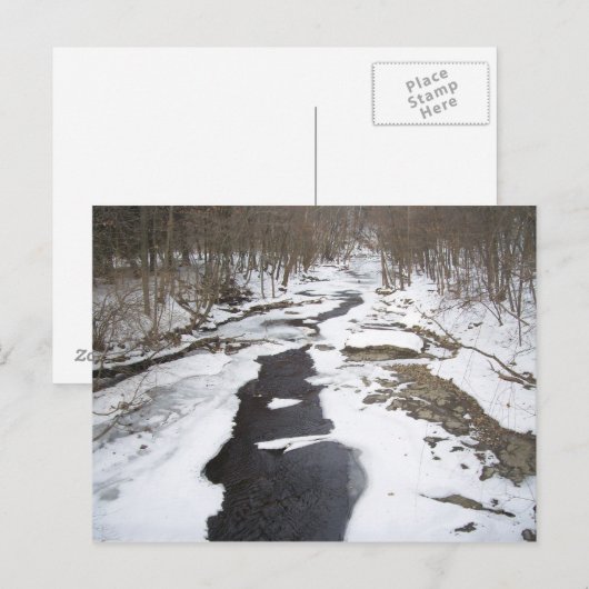 Snowy Creek Postkarte (Vorne/Hinten)
