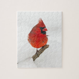 Snowy Day Kardinal Puzzle