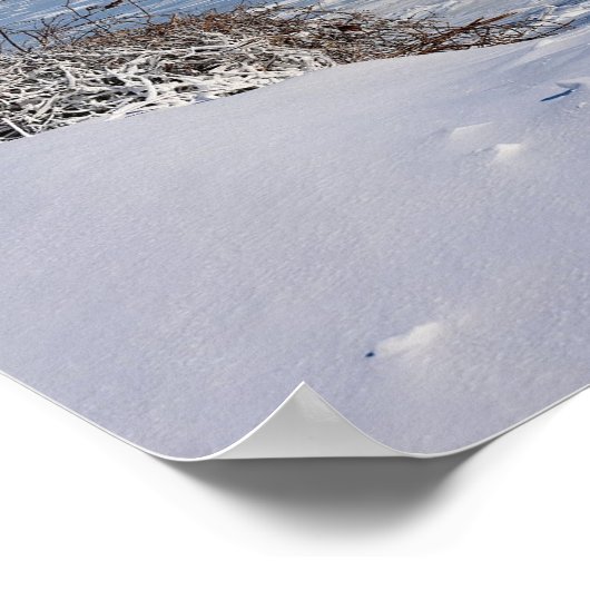 Snowy Delaware River Poster (Ecke)