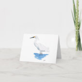 Snowy Egret (Vorderseite)